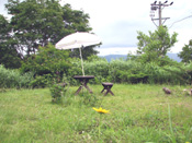 Rental cottage WHITE RABBIT MADARAO 2