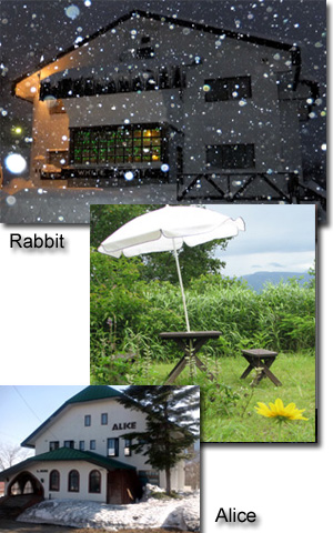 Rebtal Cottage WHITE RABBIT MADARAO, Dining, Room